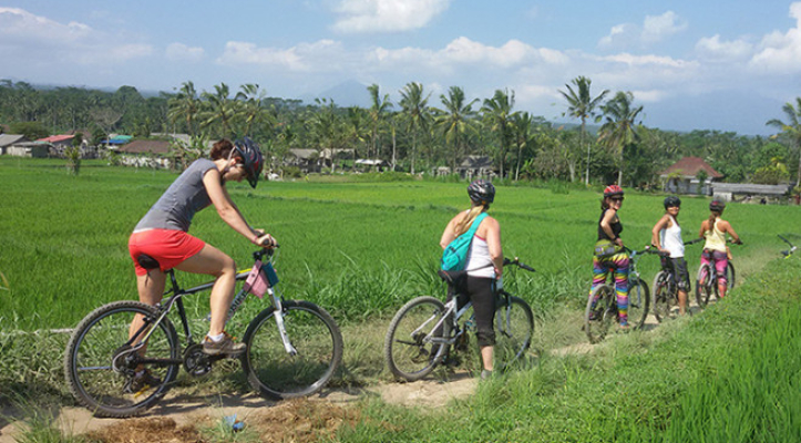 Bali Cycling Tours