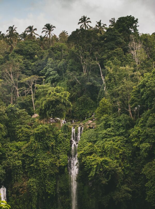 Sekumpul Waterfall | Semut Bali Tours