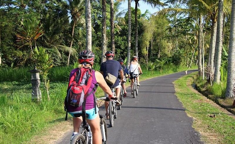 Cycling Through Bali's Countryside | Semut Bali Tours