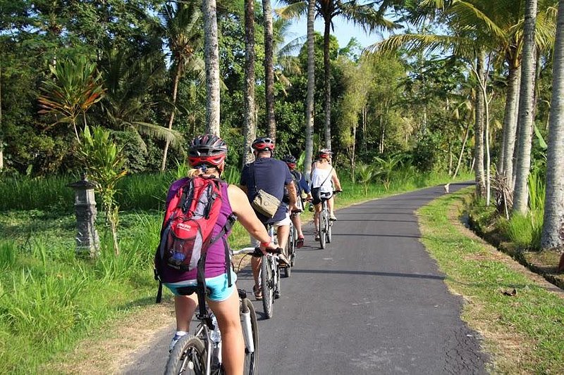 Cycling Through Bali's Countryside | Semut Bali Tours